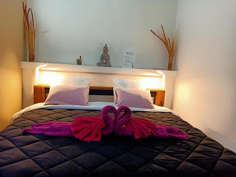 Mas La Farelle Chambre D'Hote,Fitness & Salle De Jeux Gratuite & Spa En Supplement ニーム エクステリア 写真